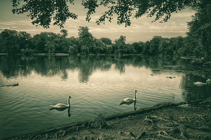 Cal Pic Pros Park